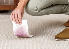 Woolite® INSTAclean® Pet Stain Remover (2-Pk) & 1 Stomp 'n Go® Pet Stain Lifting Pad
