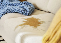 Woolite® Carpet Pet Urine Eliminator with Brush Head Cleaner