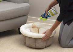 Woolite® Carpet Pet Urine Eliminator with Brush Head Cleaner