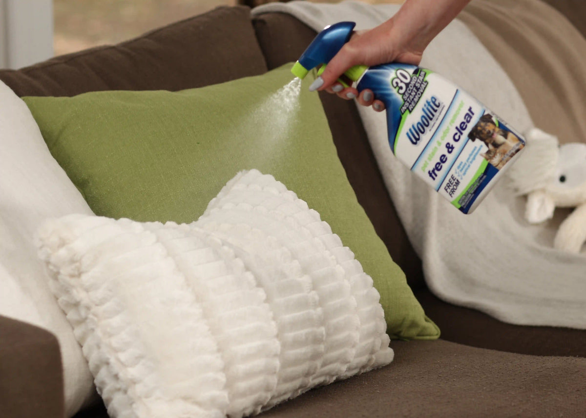 Woolite® Free & Clear Pet Stain & Odor Remover Pretreat (2-pk)