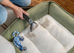 Little Green® ProHeat® Pet Portable Carpet Cleaner